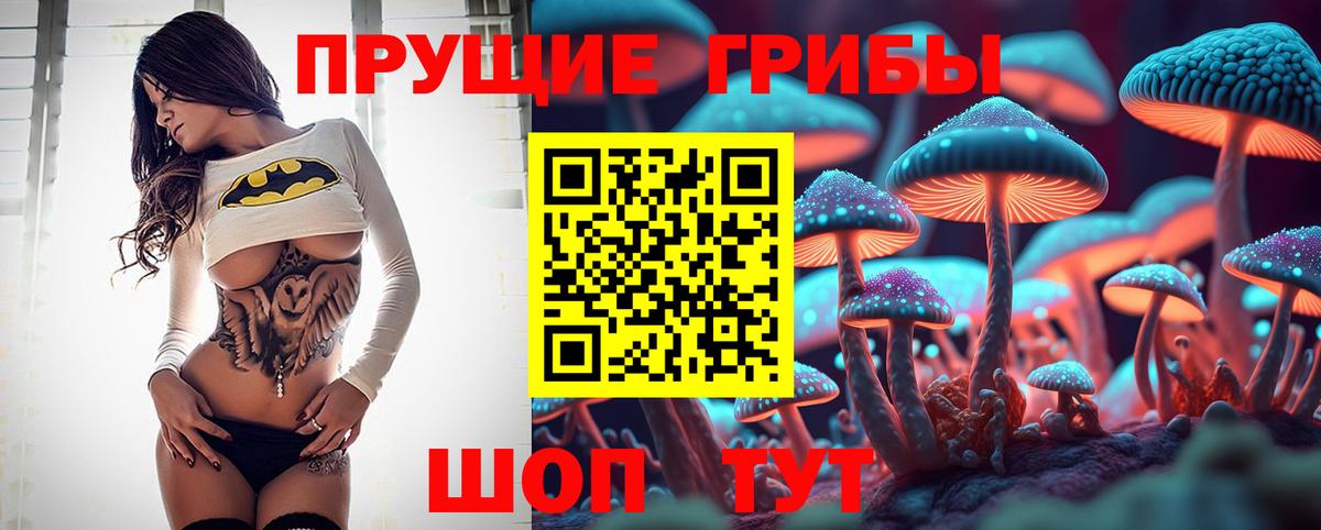 Псилоцибиновые грибы мицелий Троицк
